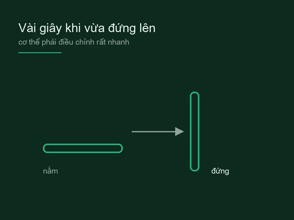 Sơ đồ chuyển từ tư thế nằm sang tư thế đứng