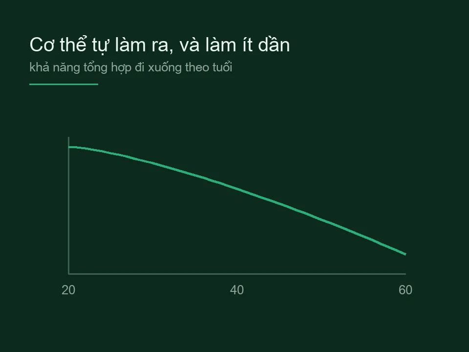 Sơ đồ đường đi xuống dần theo trục tuổi từ hai mươi tới sáu mươi