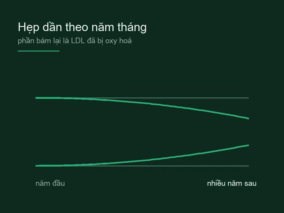 Sơ đồ lòng mạch hẹp dần từ năm đầu tới nhiều năm sau